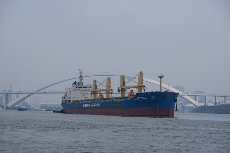 A big cargo ship pass by a bridge