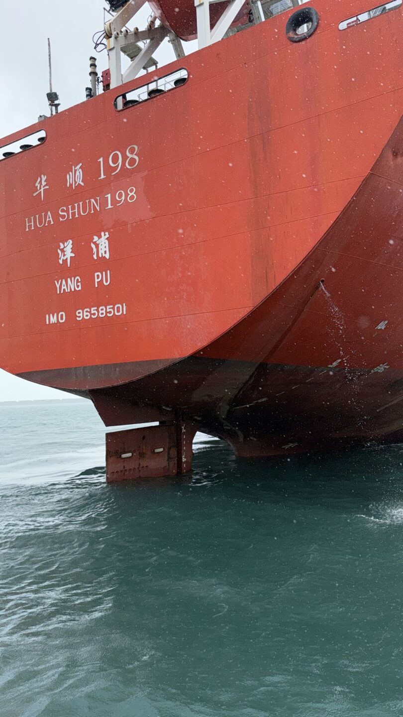 Whatsapp image 2025 03 12 at 15.32.04 c6513f74